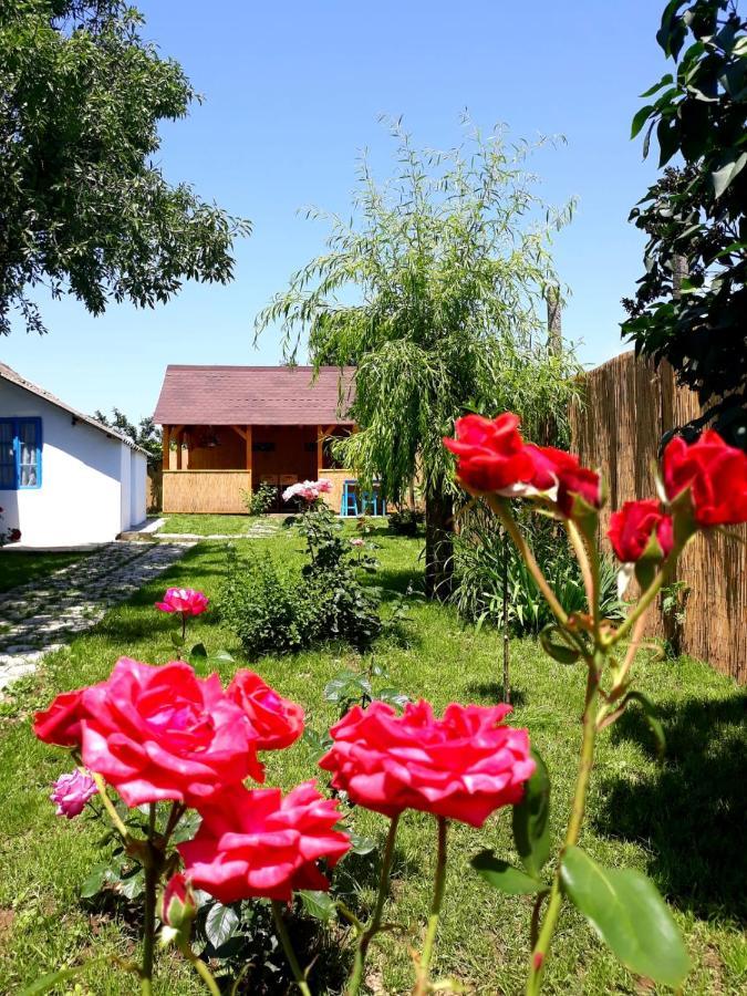 Casa Pavel Jurilovca Villa Exterior photo